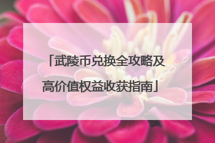 武陵币兑换全攻略及高价值权益收获指南